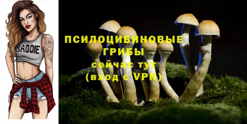 Галлюциногенные грибы Psilocybine cubensis  Бахчисарай 